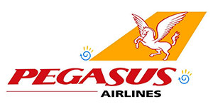 Pegasus hold luggage