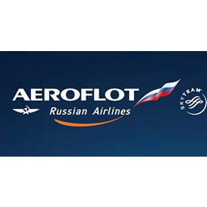 Aeroflot hold luggage