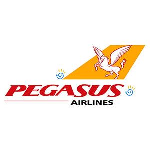 Pegasus hold luggage